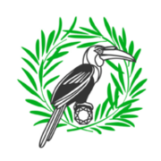Anova Health Institute logo