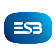 ESB International logo